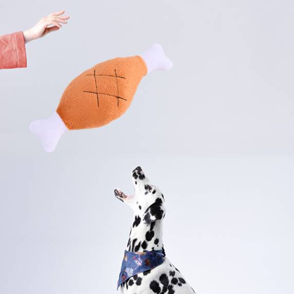 Jouet Poulet Grinçant pour Chien - Résistant et Amusant-Living123 - Image 3