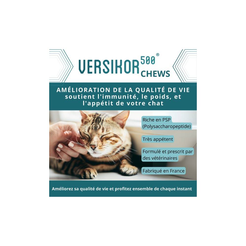 Versikor 250 chews chat - Osalia 60 bouchées - Image 3