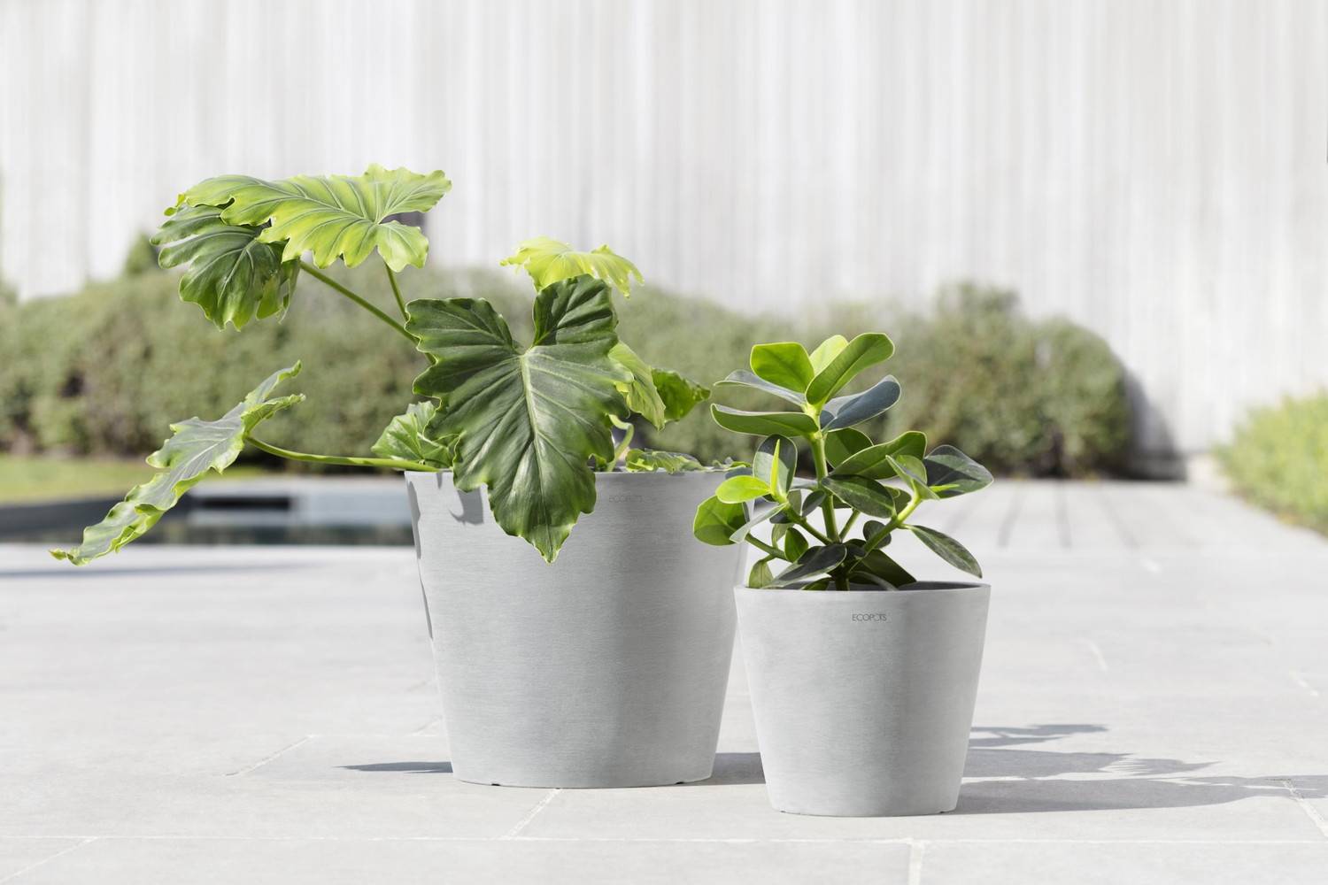 Ecopots - Pot Rond Amsterdam 20 Blanc Gris + réservoir d'eau - Ø 20 x H. 17,5 cm - 4 L ECOPOTS - Imagen 5