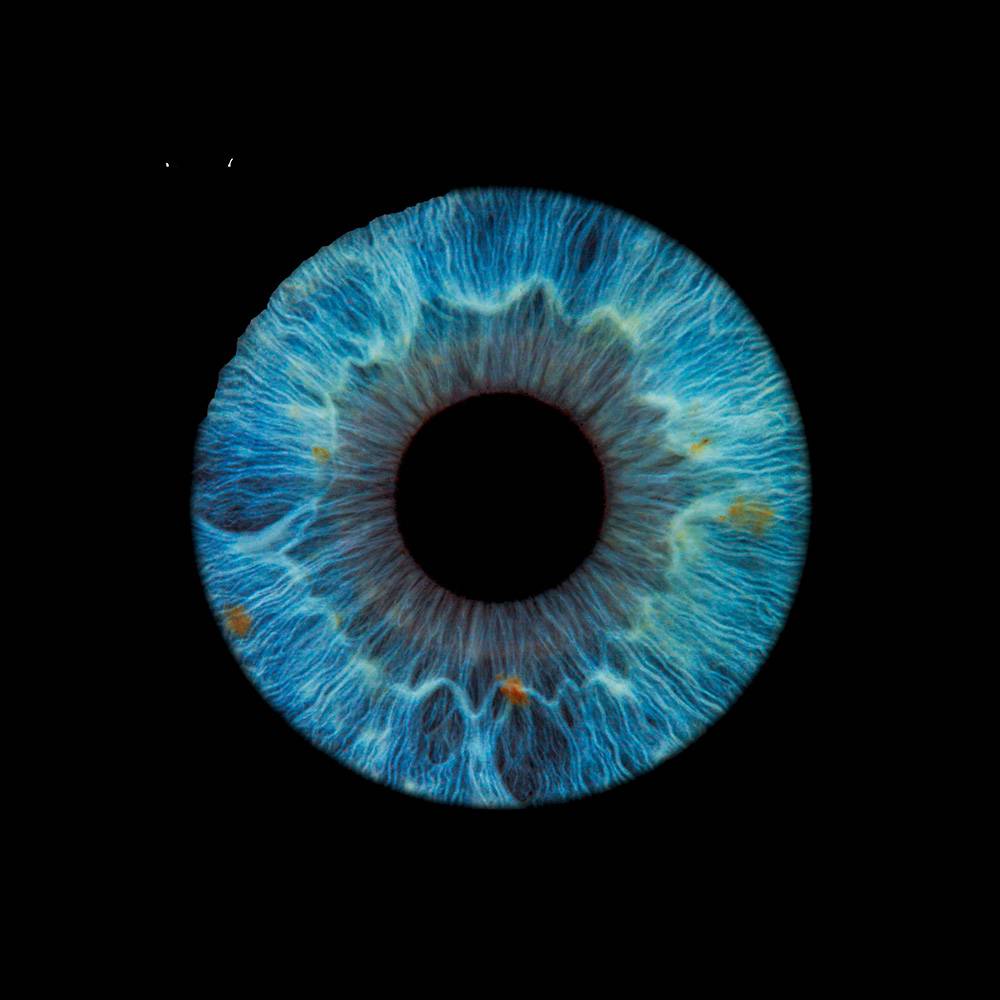 Cadre décoratif mural iris 50x50 cm