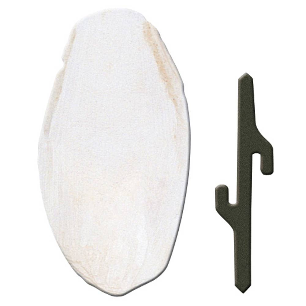 Ferplast - Accessoires pour cages à oiseaux Ferplast Os de seiche FPI 4330 canaris - Image 1