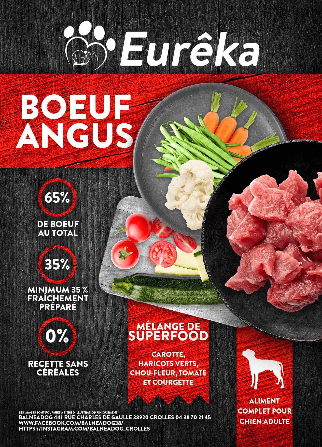 Croquettes chien adulte holistic sans céréales - Bœuf Angus - 2 Kg - Image 2