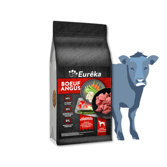 Croquettes chien adulte holistic sans céréales - Bœuf Angus - 2 Kg - Image 1