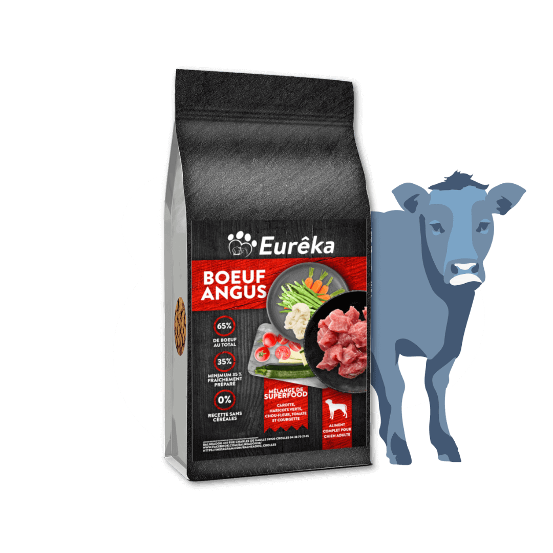 Croquettes chien adulte holistic sans céréales - Bœuf Angus - 2 Kg - Image 1