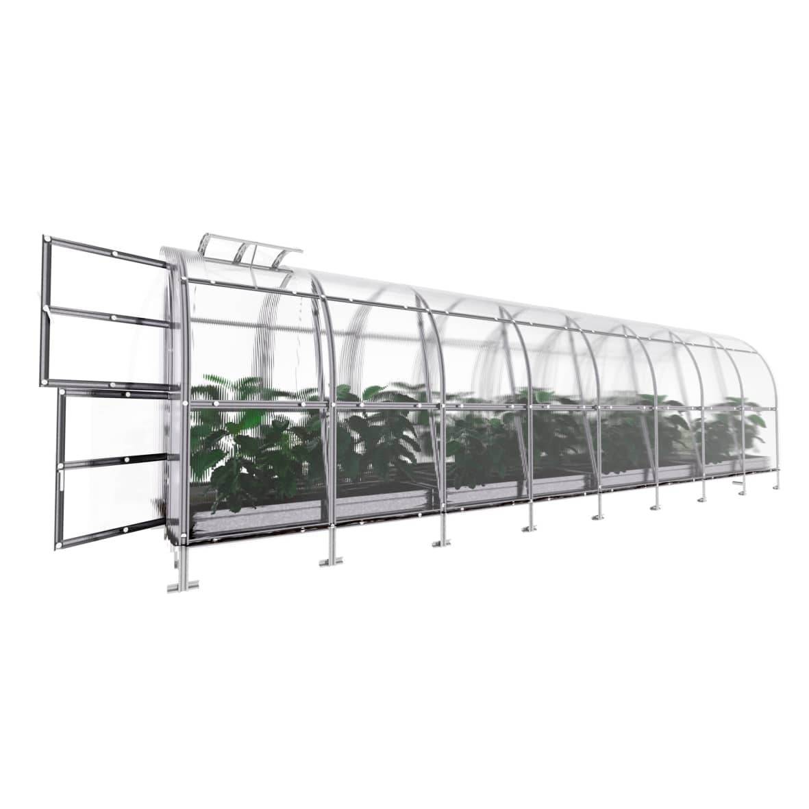 KLASIKA GREENHOUSES - Serre KLASIKA SLIM 2 x 8 m (16 m²) , 6 mm avec revêtement en polycarbonate - Image 5