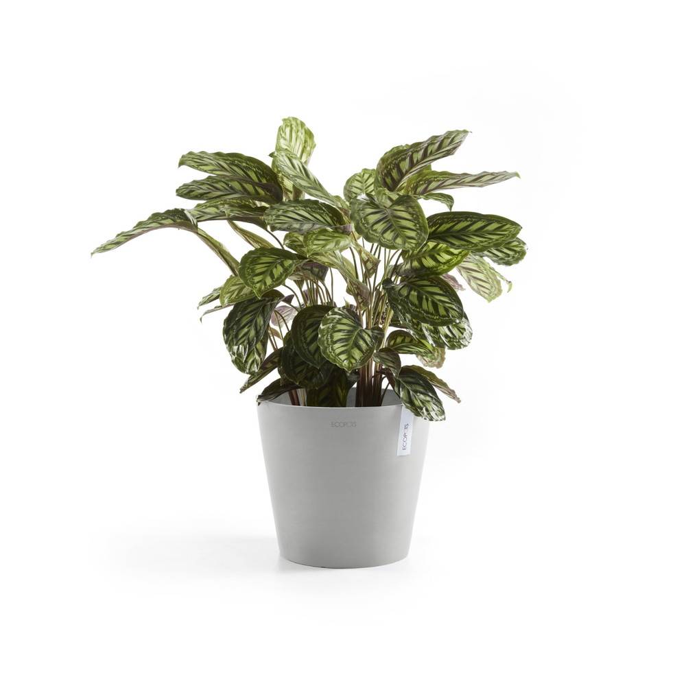 Ecopots - Pot Rond Amsterdam 30 Blanc Gris + réservoir d'eau - Ø 30 x H. 26,3 cm - 12,8 L ECOPOTS - Imagen 3