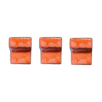 Provencelia - Lot de 3 pieds de pot 6cm aurore