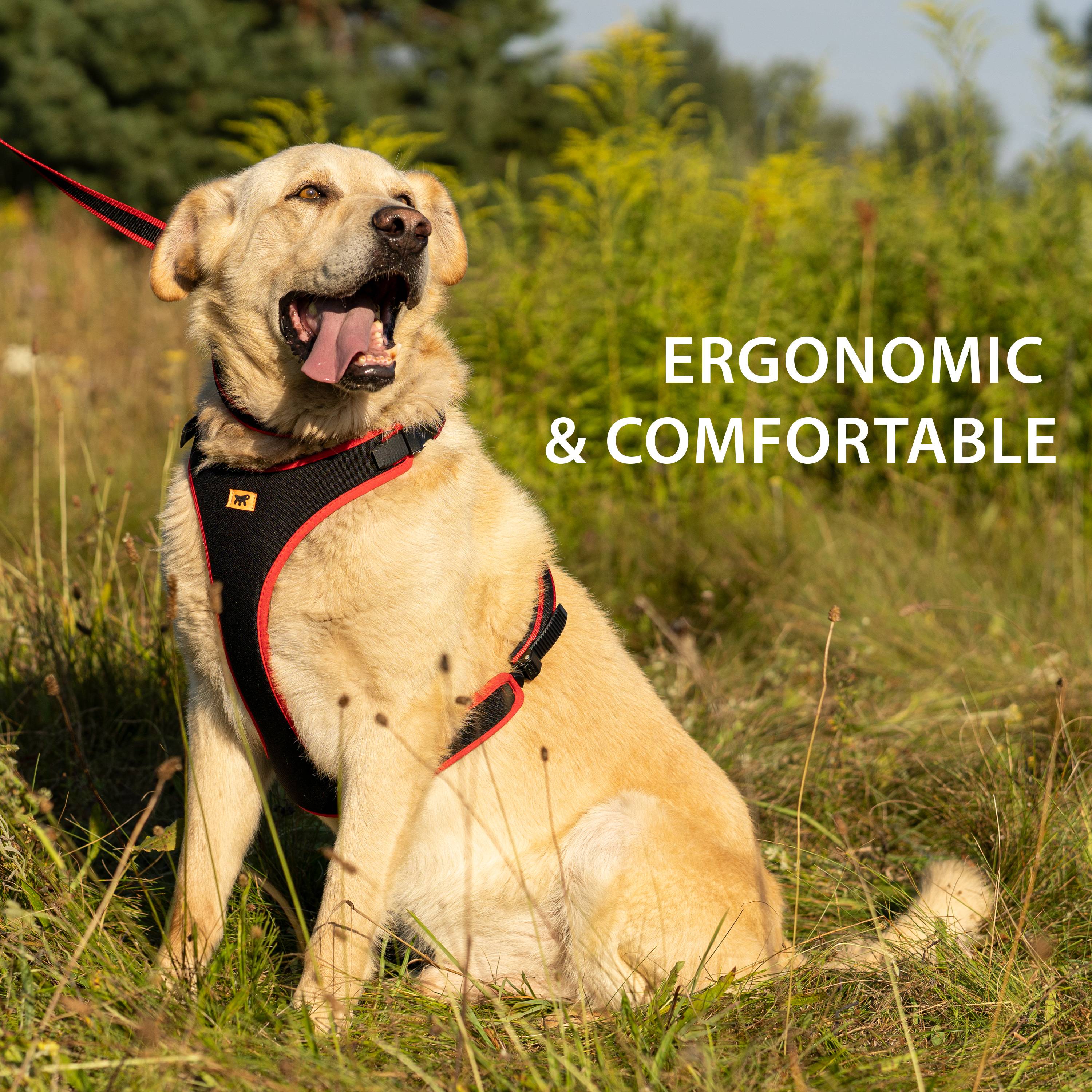 Ferplast - Ferplast Harnais pour chien petite taille ERGOCOMFORT EXTRA SMALL, Harnais pour chien réglable, Confortable, Rembourré, Fermeture double - Imagen 5