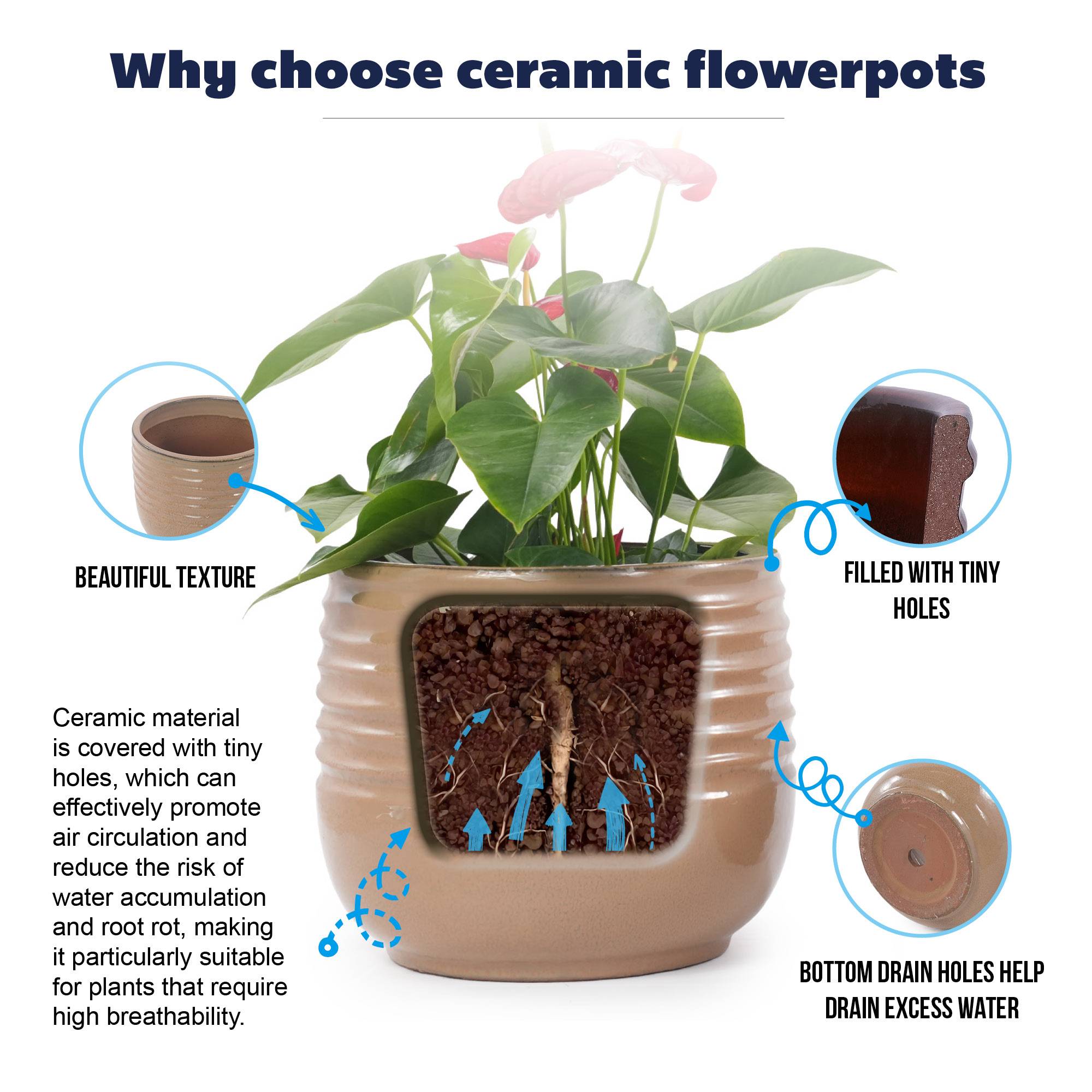 ComfortXL - Pot de fleurs en céramique intérieur balcon drainage respirant Ø 26,2 cm brun clair - ComfortXL Outdoor Living - Image 7