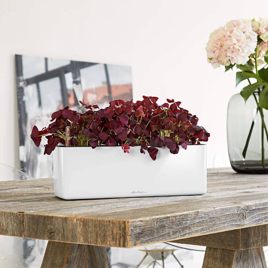 Lechuza - CUBE Glossy Triple - 40x14x14 cm - Kit Complet, blanc ultra brillant Lechuza - Imagen 3