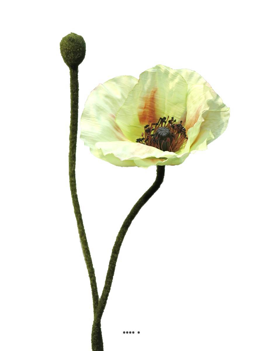 Artificielles - Pavot factice H60cm 1 fleur & 1 bouton Superbe fleur Crème vert - BEST - couleur: Crème vert - Imagen 2