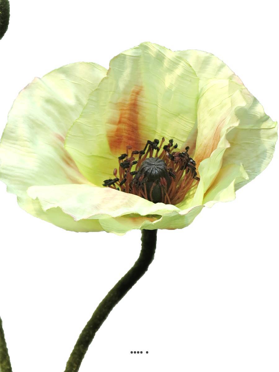 Artificielles - Pavot factice H60cm 1 fleur & 1 bouton Superbe fleur Crème vert - BEST - couleur: Crème vert - Imagen 3