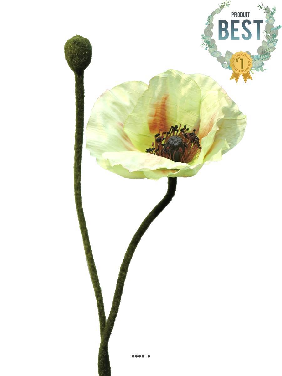 Artificielles - Pavot factice H60cm 1 fleur & 1 bouton Superbe fleur Crème vert - BEST - couleur: Crème vert - Imagen 1