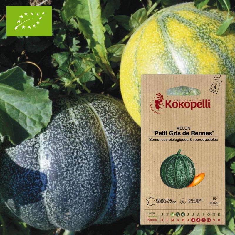 Melon Petit Gris de Rennes- Graines bio à semer - Imagen 1