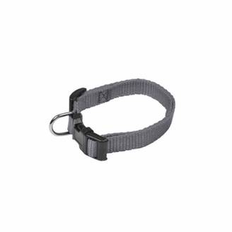 Collier Réglable Chien "Essentiel" 25-35cm Anthracite
