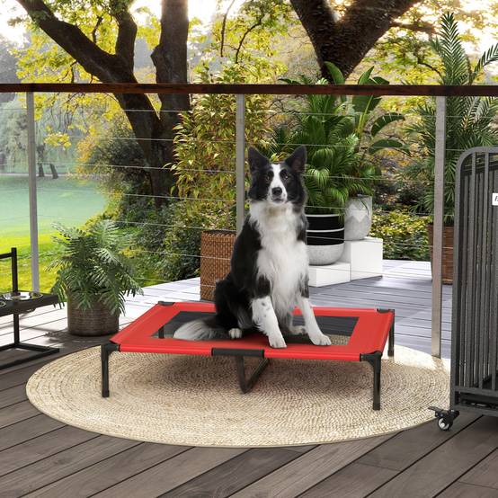 Lit pour chien surélevé 92 x 76 x 18 cm oxford - PANGIVO - Image 2