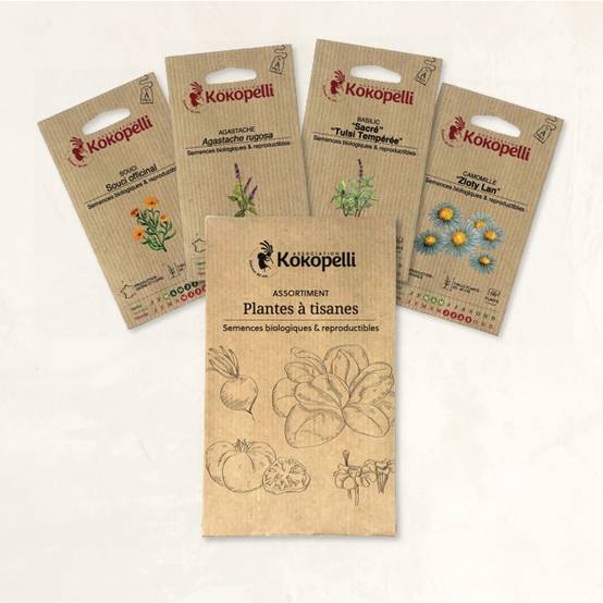 Plantes à tisanes - 4 sachets de graines bio à semer - Image 2