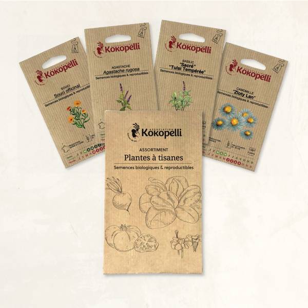 Plantes à tisanes - 4 sachets de graines bio à semer - Imagen 2