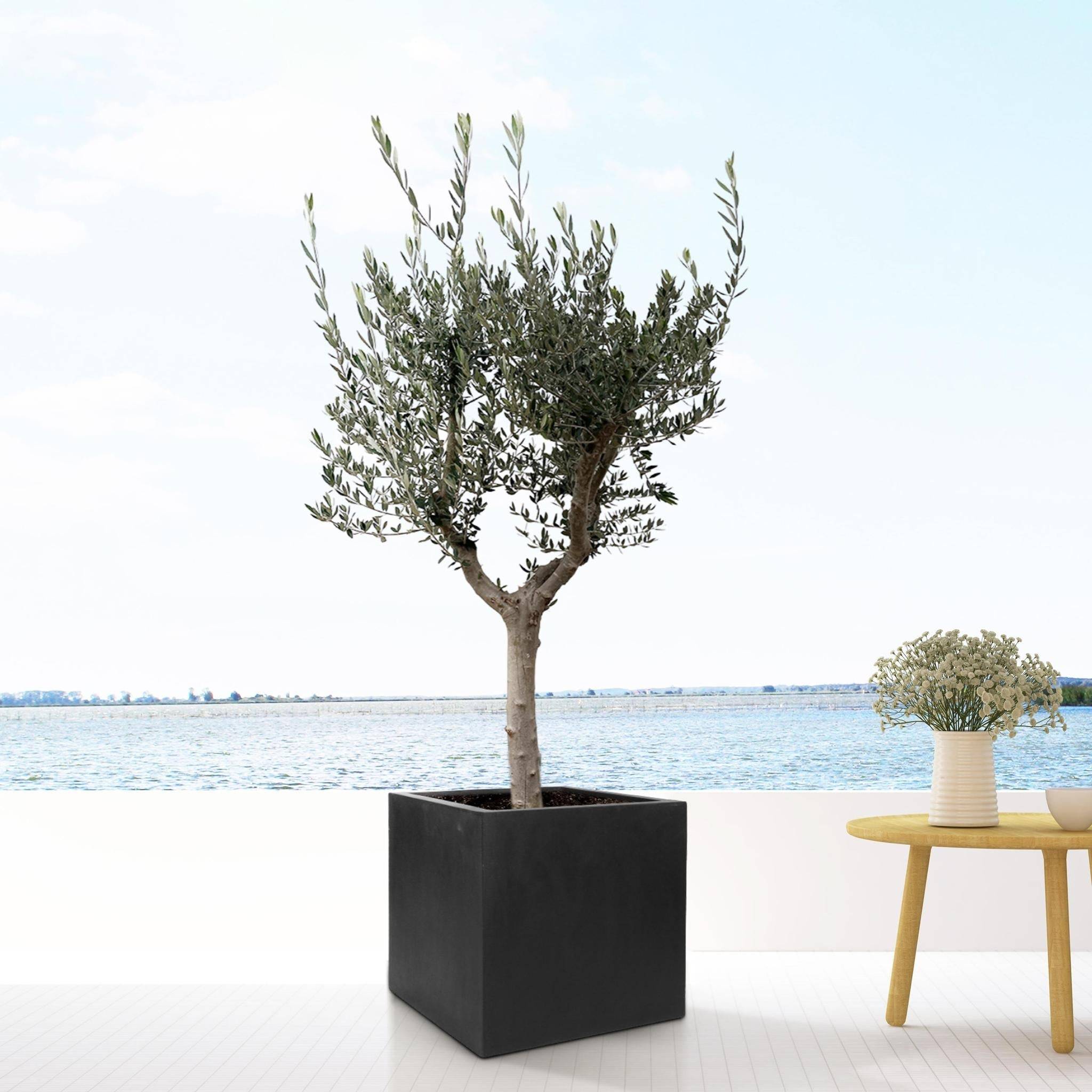 Pot Block Noir 40cm- La Green Touch - Imagen 2