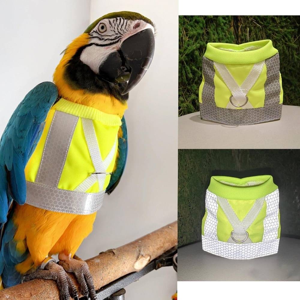 Harnais pour oiseaux DtopbuyAge - Image 2