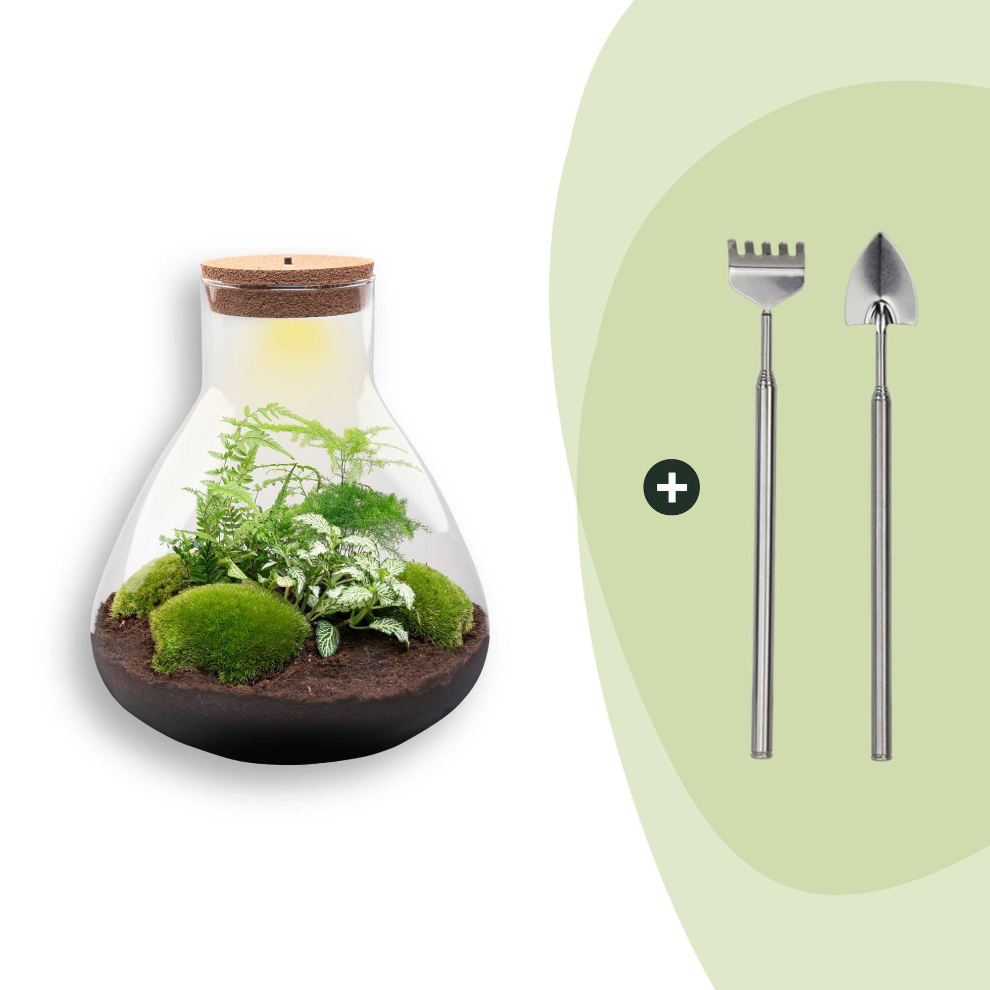 Terrarium à composer bouteille en verre recyclé - Ø30-H35cm - avec râteau et pelle - Asparagus White - Terrarium DIY - Image 1