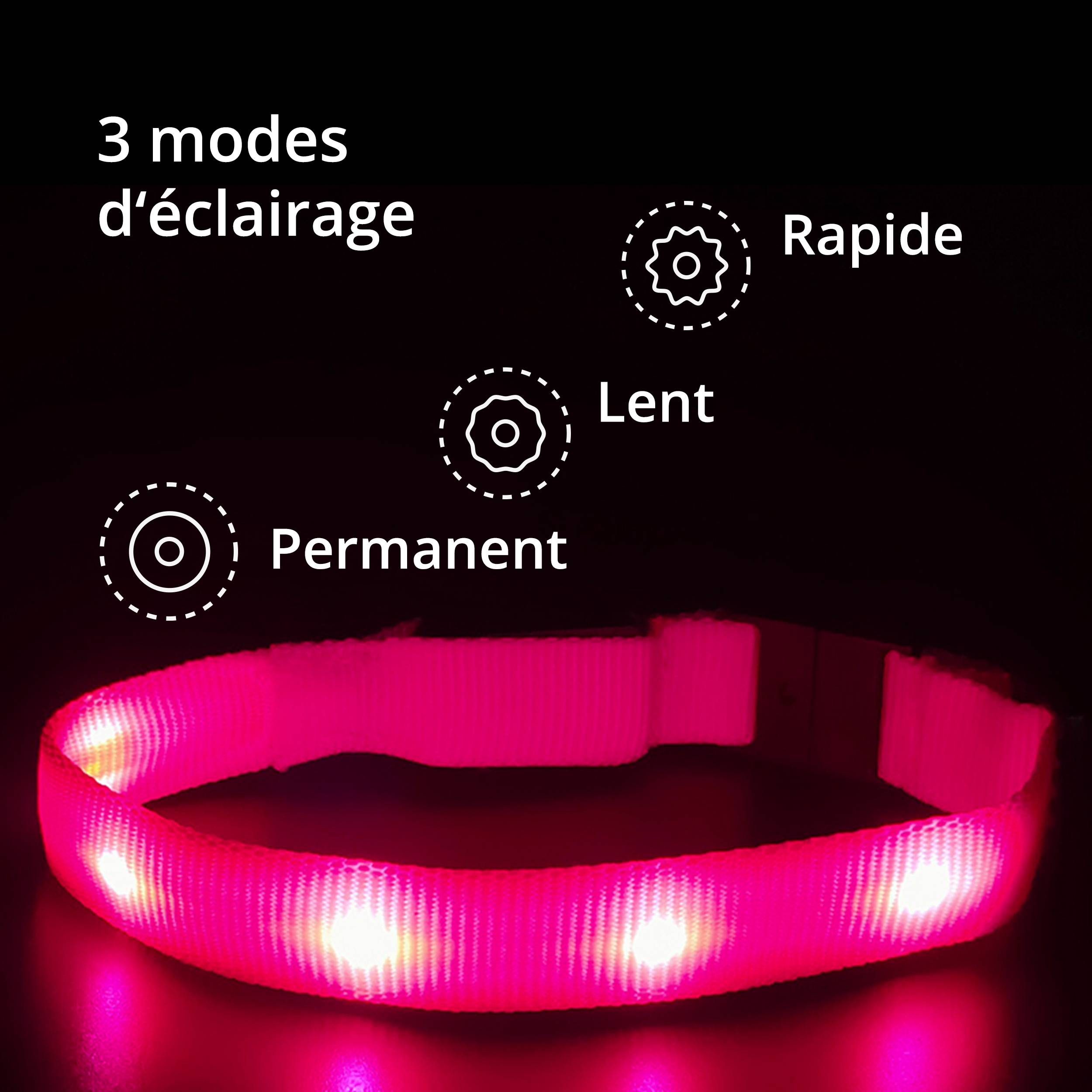 Petsation - Collier Lumineux pour Chat – LED Étanche– Haute Qualité, Stabilité & Sécurité – Fermoir de sécurité (rosé, s) – Petsation - Imagen 3