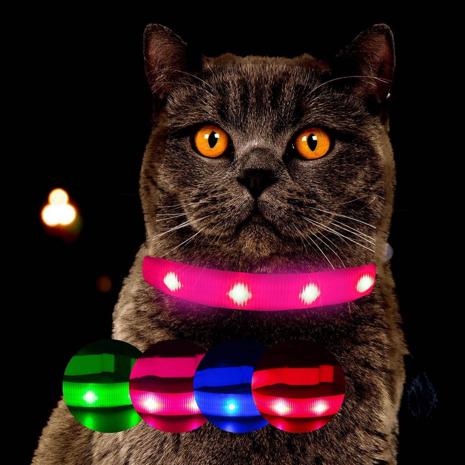 Petsation - Collier Lumineux pour Chat – LED Étanche– Haute Qualité, Stabilité & Sécurité – Fermoir de sécurité (rosé, s) – Petsation - Imagen 2