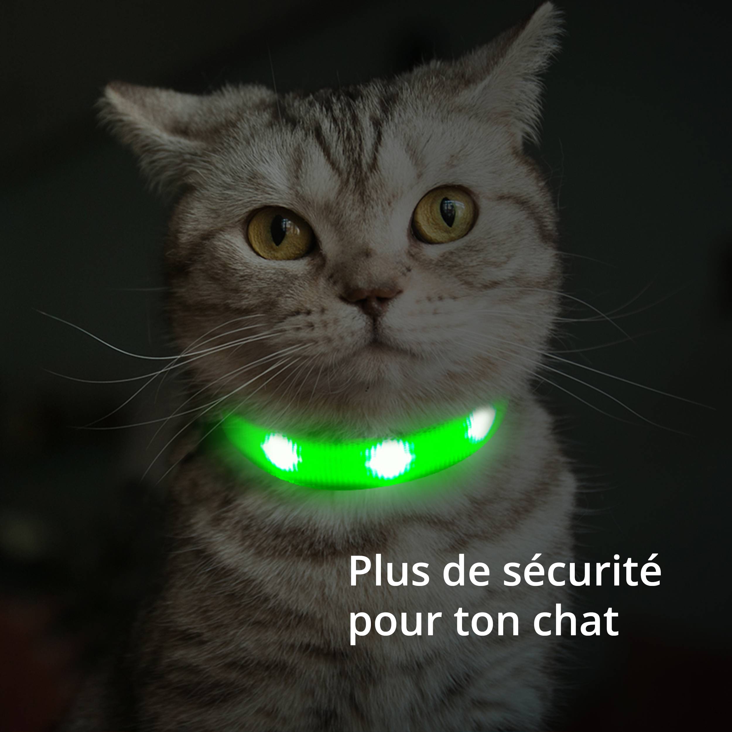 Petsation - Collier Lumineux pour Chat – LED Étanche– Haute Qualité, Stabilité & Sécurité – Fermoir de sécurité (rosé, s) – Petsation - Imagen 5
