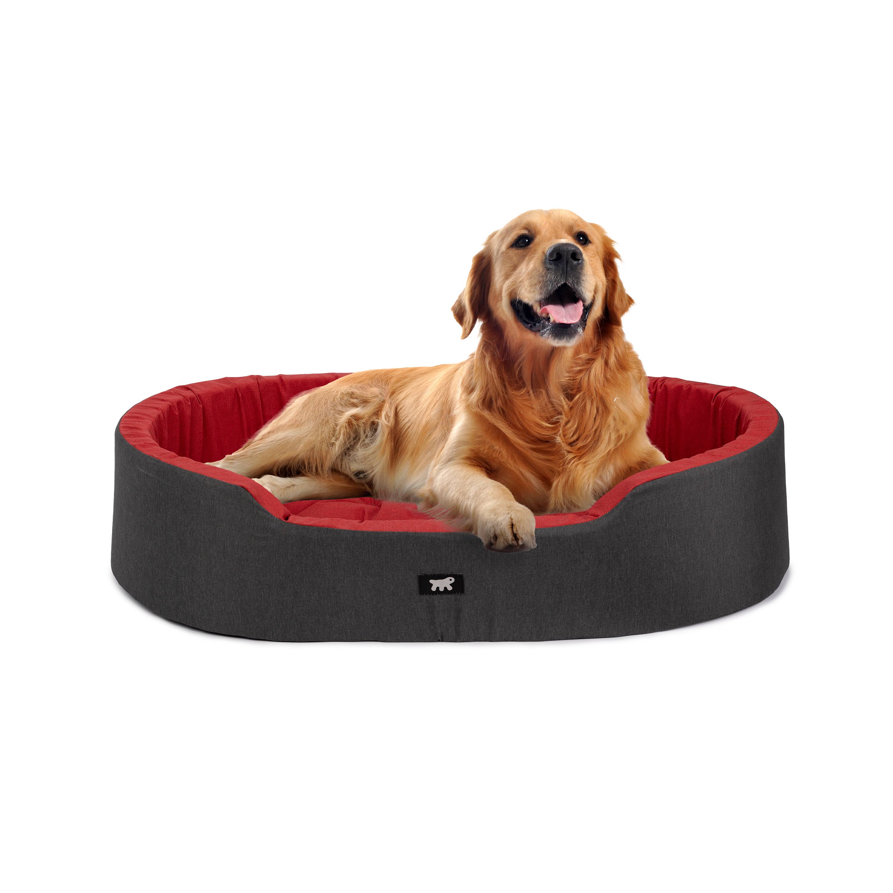 Ferplast - Ferplast Panier Chien Dandy, Coussin Amovible et Lavable, Housse en Coton avec Rembourrage Doux, Lit Chiens Moyen, 95 x 60 x H 21 cm, Rouge - Imagen 4