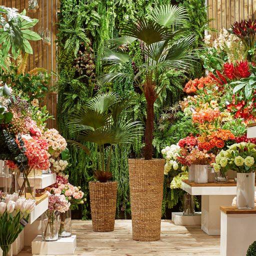 Palmier Palm royal 215 cm - Image 3