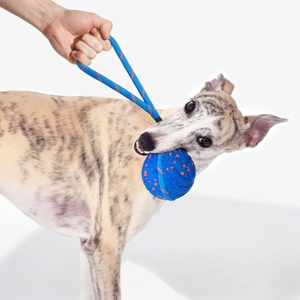 CHEERBLE WICKED BALL AIR ROPE-ROYAL BLUE - Image 3