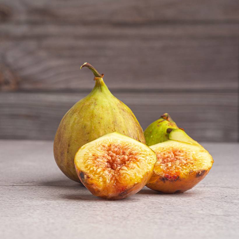 Promesse de Fleurs - Figuier Gustis Ficcolino - Ficus carica Pot de 2L/3L, Buisson