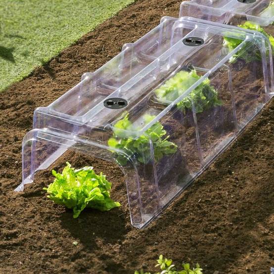 Terre Jardin - Tunnel de forçage transparent, Lot de 30 - Image 2