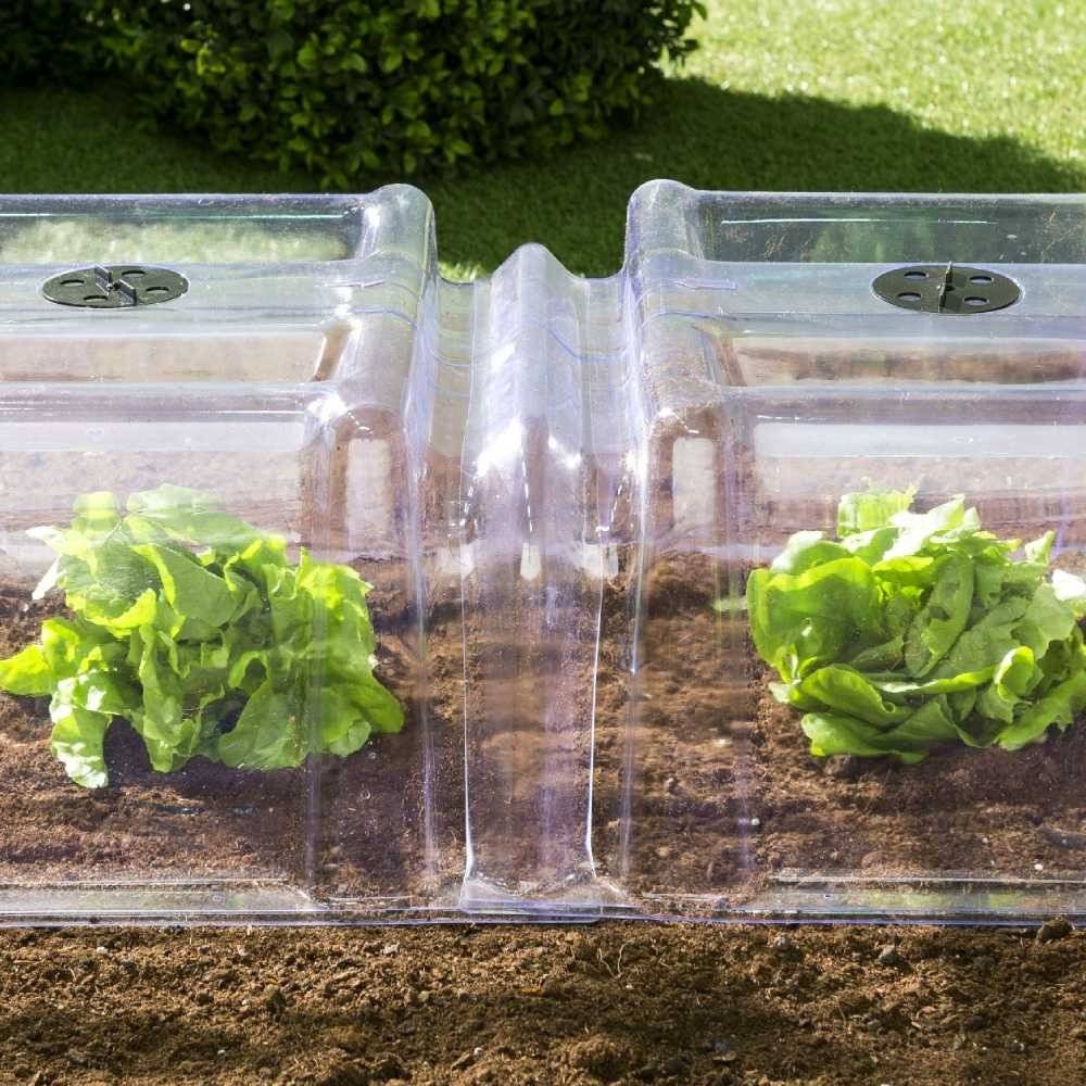 Terre Jardin - Tunnel de forçage transparent, Lot de 30 - Image 5