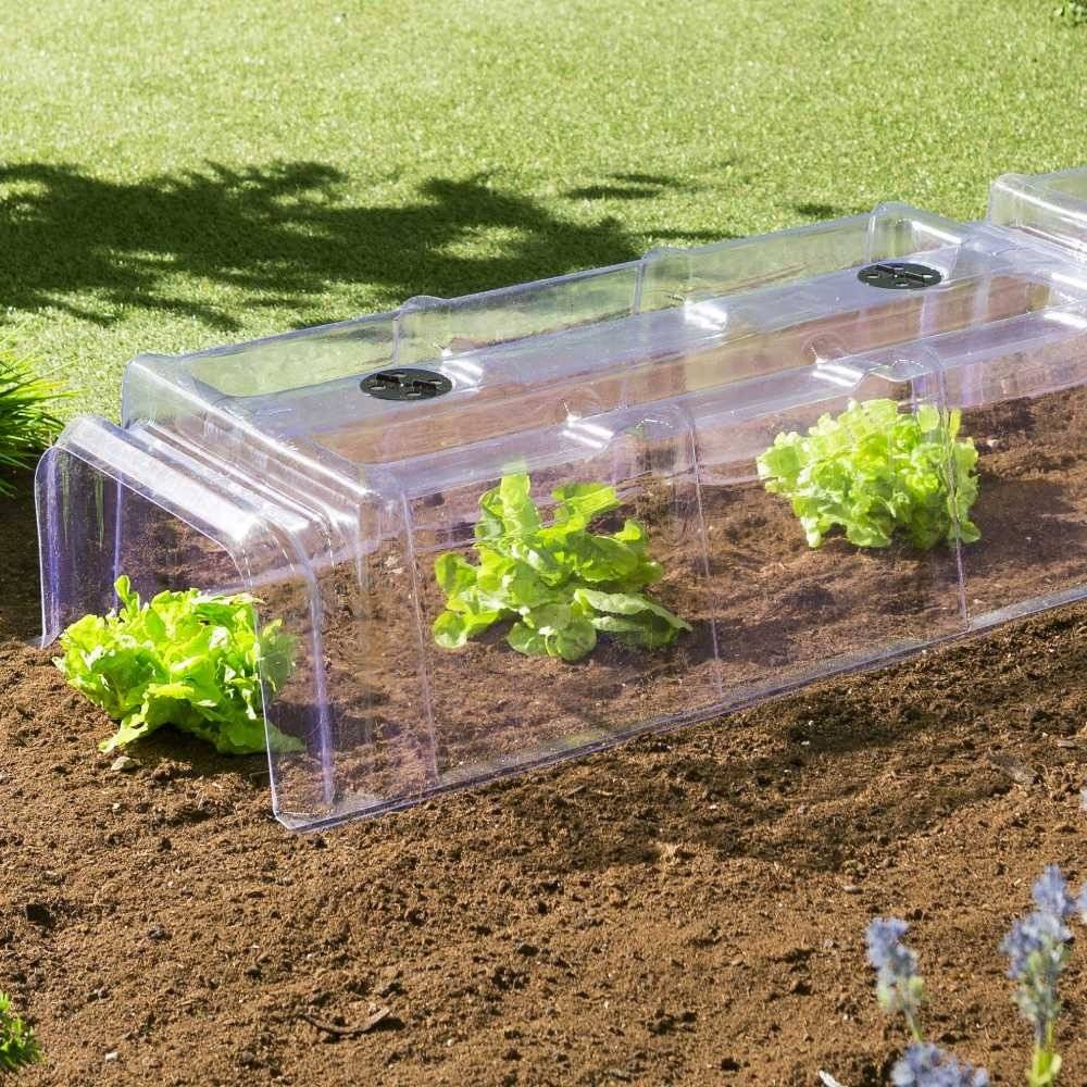Terre Jardin - Tunnel de forçage transparent, Lot de 30 - Image 7