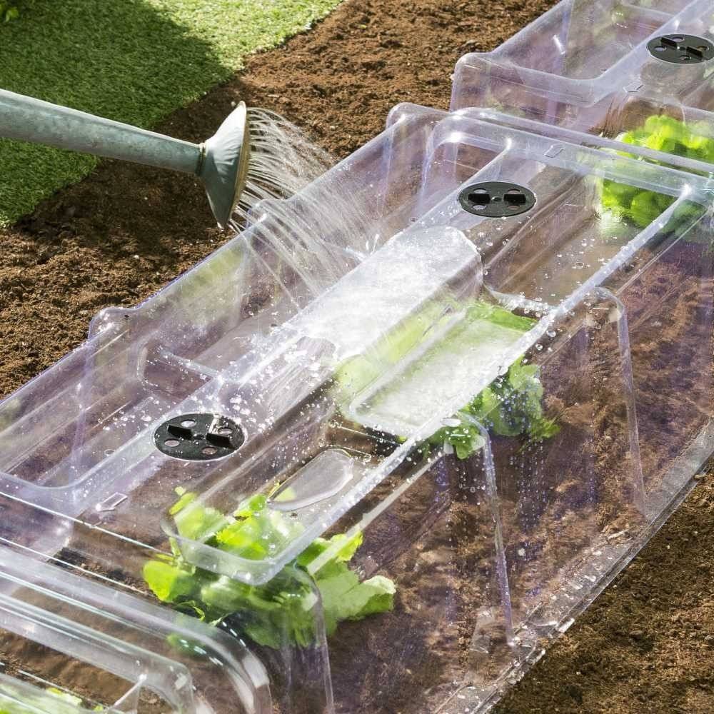 Terre Jardin - Tunnel de forçage transparent, Lot de 30 - Image 3