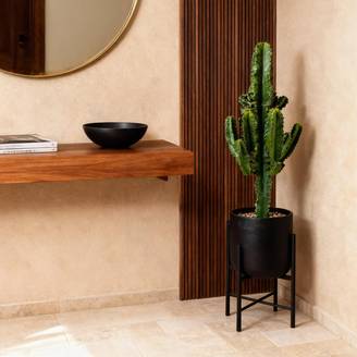 La Green Touch - Euphorbe Eritrea - D17 H60cm