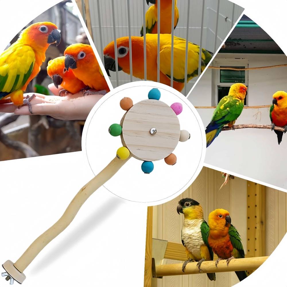 IntiMeg - Jouet rotatif pour perroquet IntiMeg - Image 3