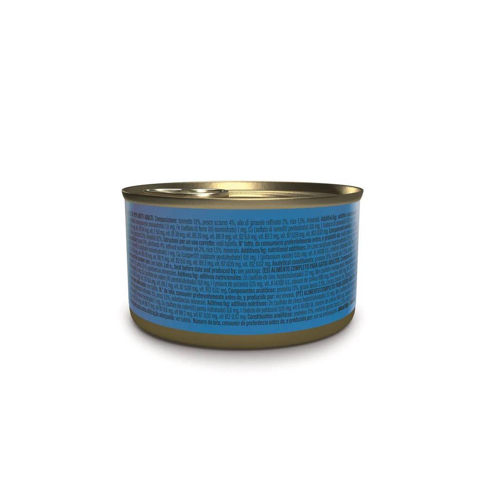 Schesir - Gelee Thon / Sardines Schesir Chat 85 g - Image 2