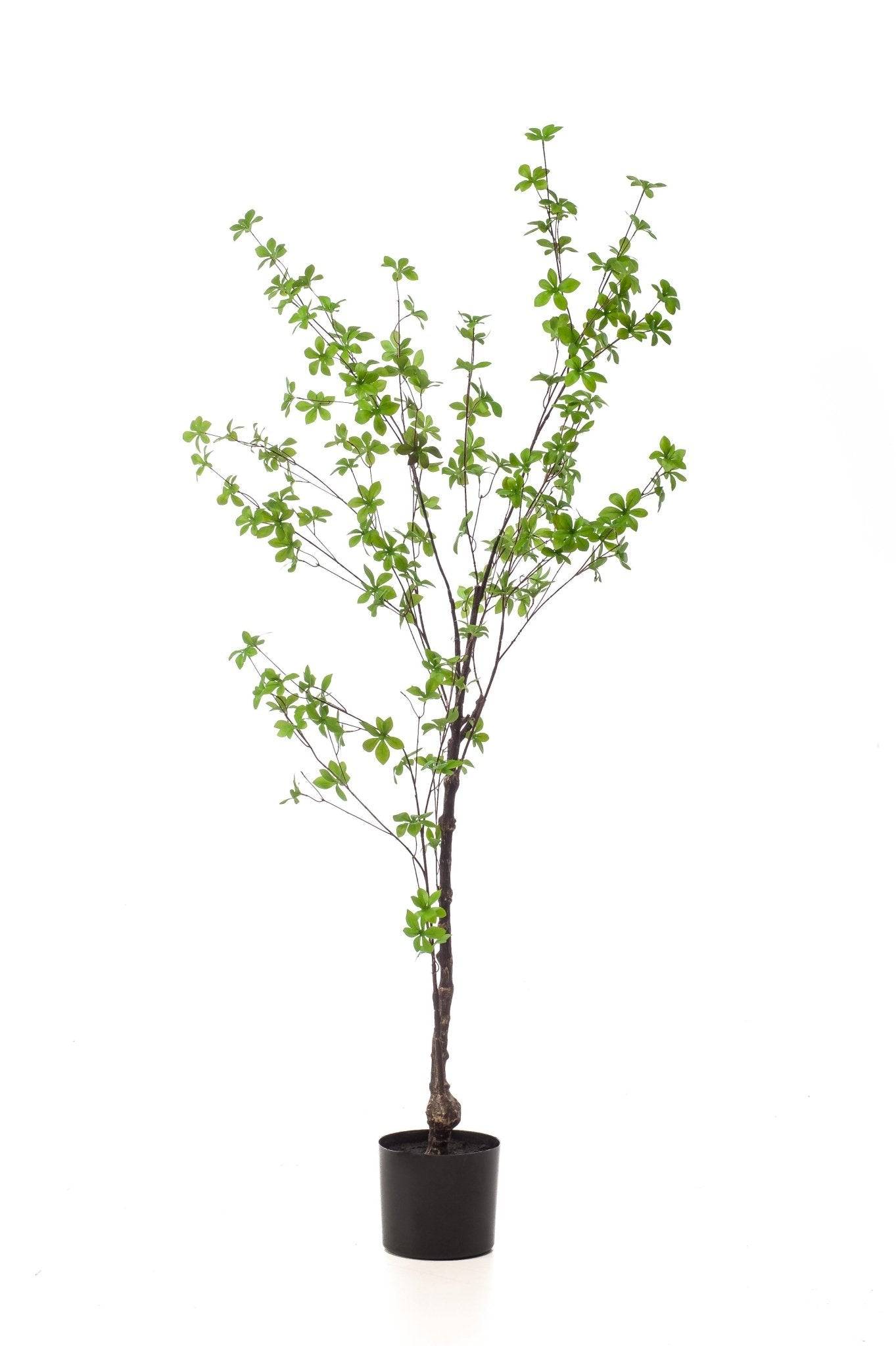 La Green Touch - Tropaeolum Spéciosum plante artificielle - h150cm, Ø12cm- La Green Touch - Imagen 1