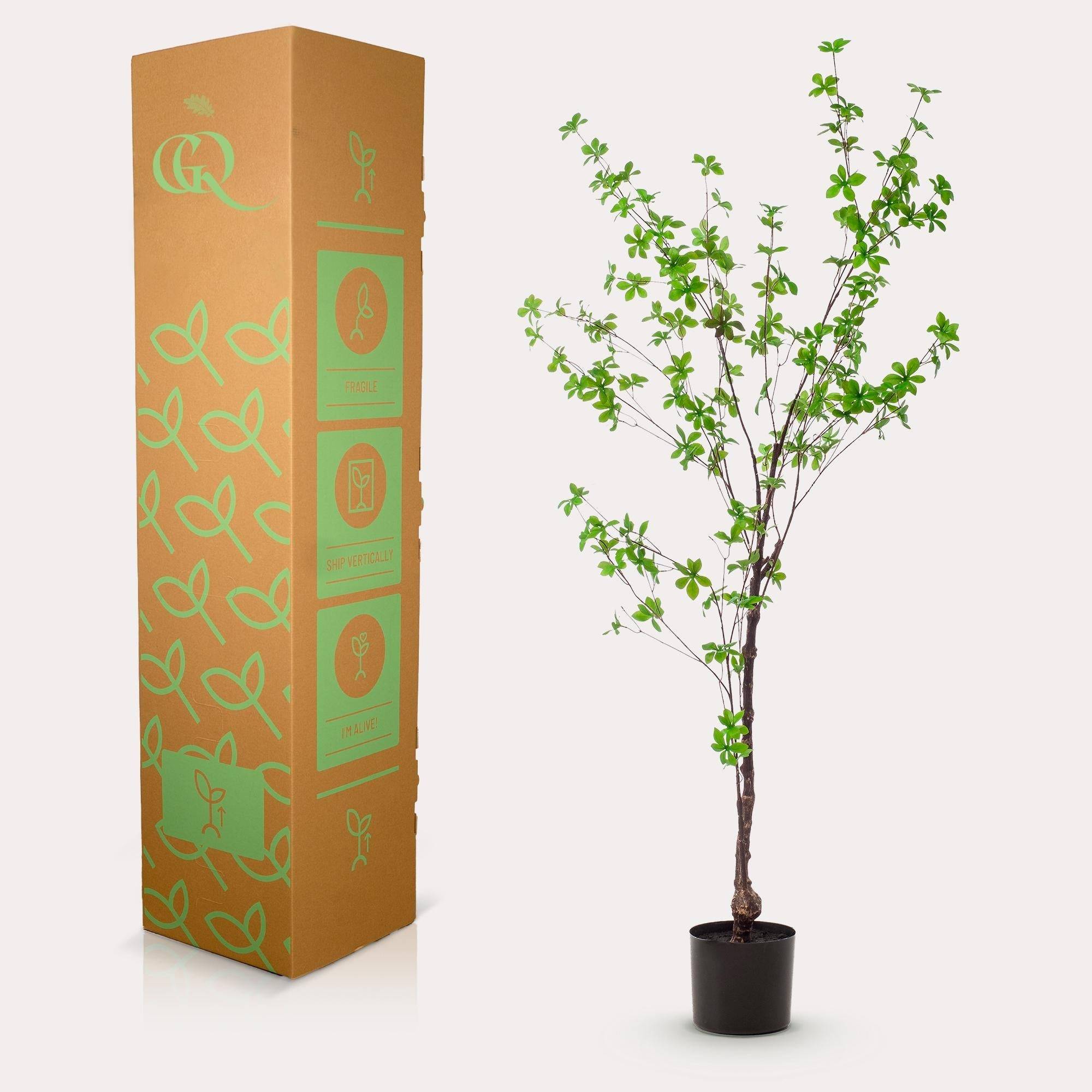 La Green Touch - Tropaeolum Spéciosum plante artificielle - h150cm, Ø12cm- La Green Touch - Imagen 4