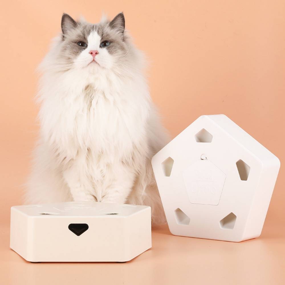 Jouet d'intérieur automatique pour chat DtopbuyAge - Image 4