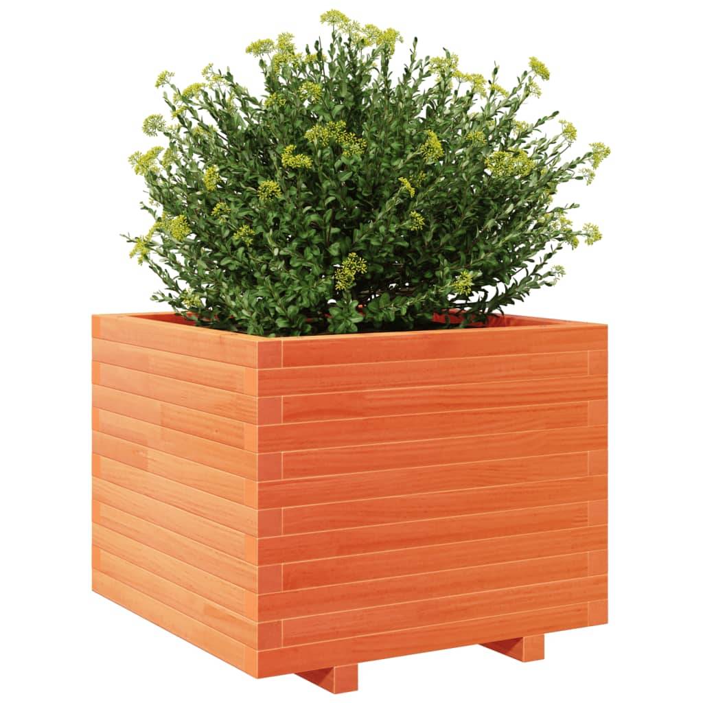 Maison Chic - Jardinière, Bac à fleurs, Pot de fleurs cire marron 60x60x49,5 cm bois de pin massif - Imagen 4