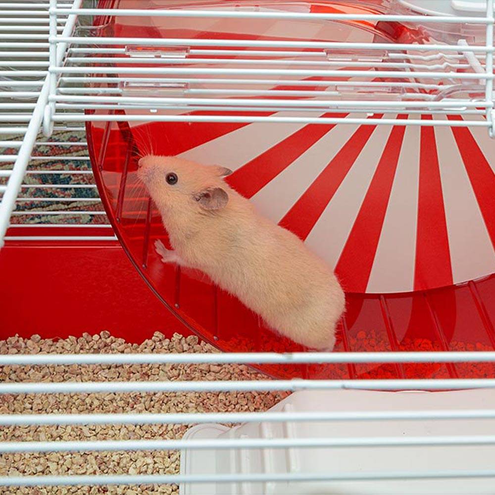 Ferplast - FERPLAST CONEY ISLAND Cage à Rongeurs pour Hamsters, en Métal, Accessoires inclus : Mangeoire, Abreuvoir, Maison, Roue Géante. 50x35xh36,2cm - Imagen 3