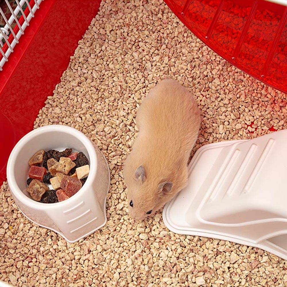 Ferplast - FERPLAST CONEY ISLAND Cage à Rongeurs pour Hamsters, en Métal, Accessoires inclus : Mangeoire, Abreuvoir, Maison, Roue Géante. 50x35xh36,2cm - Imagen 4