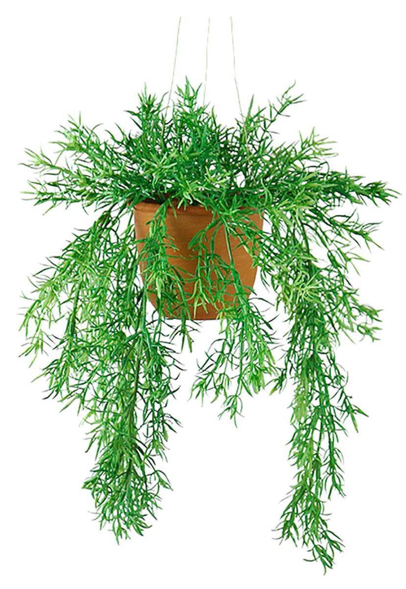 Artificielles - Asparagus artificiel retombant en pot suspendu, L 40 cm, D 29 cm - Imagen 2