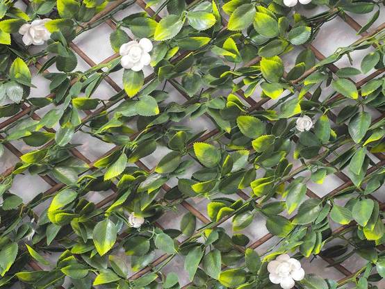 Jardideco - Treillis extensible Jasmin Fleuris 2 m (2 treillis de1 x 2 m) - Jardideco - Image 2
