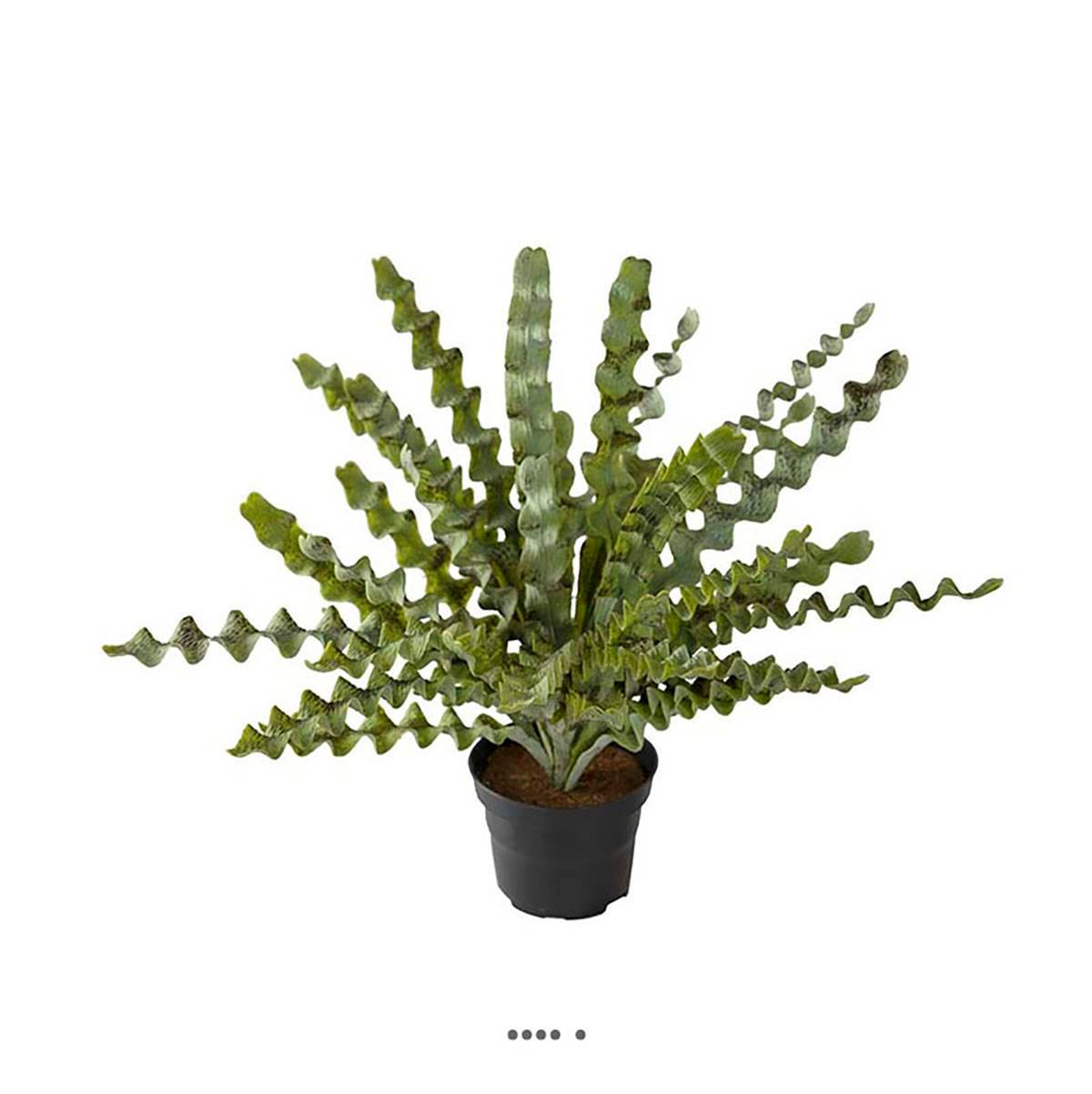 Artificielles - Fougère asplenium artificielle plastique en pot H 34 cm D 48 cm Vert - couleur: Vert - Imagen 2