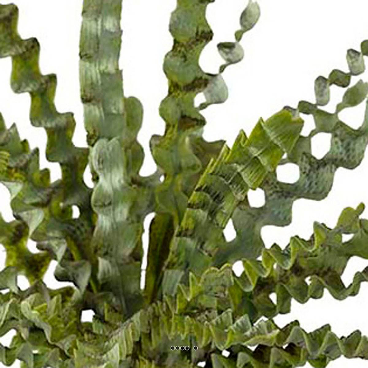 Artificielles - Fougère asplenium artificielle plastique en pot H 34 cm D 48 cm Vert - couleur: Vert - Imagen 3