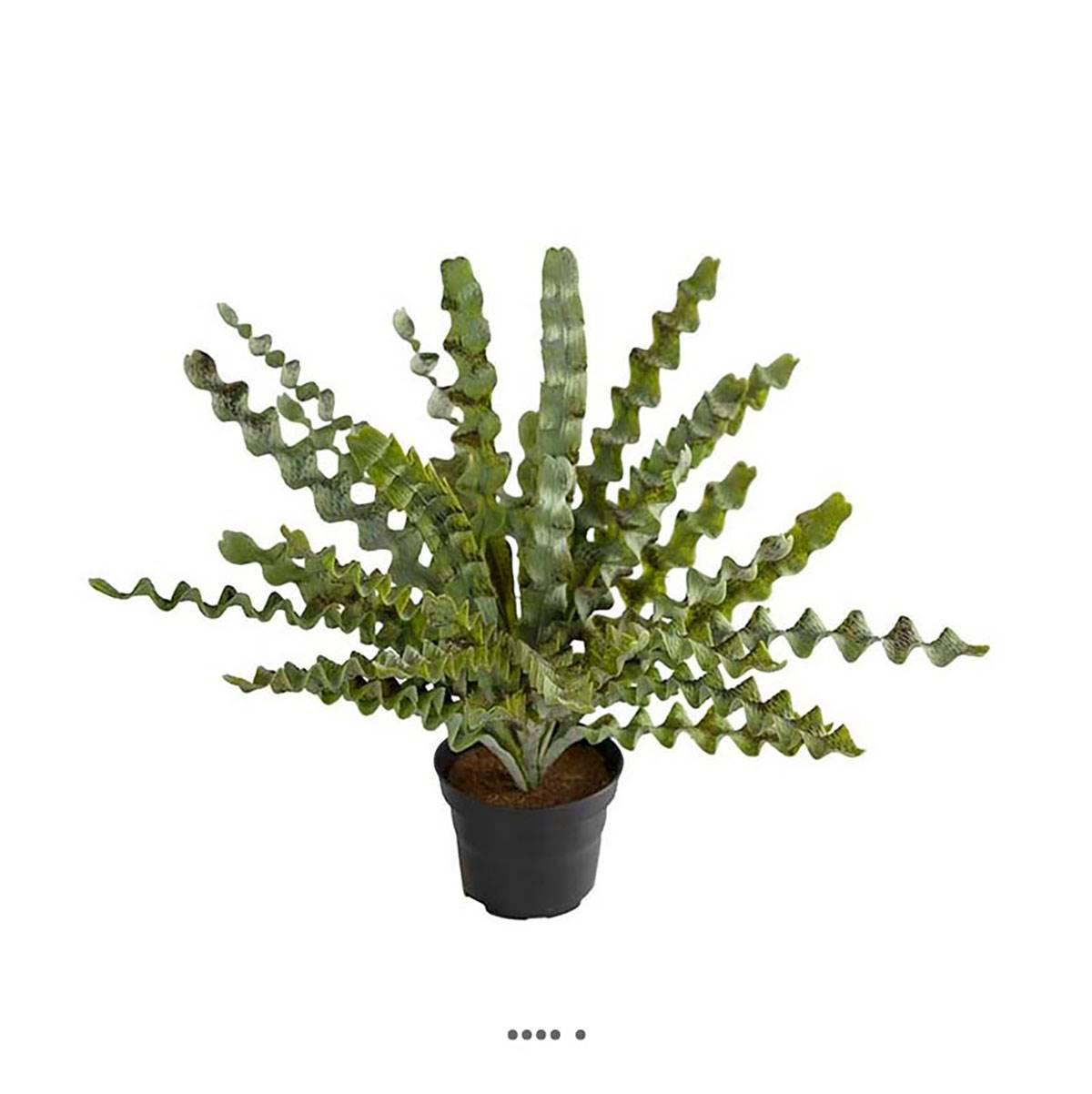 Artificielles - Fougère asplenium artificielle plastique en pot H 34 cm D 48 cm Vert - couleur: Vert - Imagen 1
